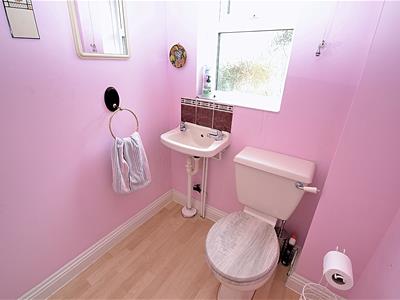 Picture 13